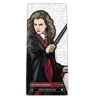 FiGPiN Enamel Pin - Harry Potter - Select Figure(s)