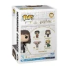 Funko Pop! Harry Potter Chamber of Secrets 20th Vinyl Figures - Select Figure(s)