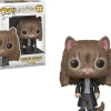 Funko Pop! Harry Potter Vinyl Figures - Select Figure(s)