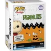 Funko Pop! Television - Peanuts Vinyl Figure - Select Figure(s)