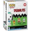 Funko Pop! Television - Peanuts Vinyl Figure - Select Figure(s)