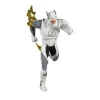 McFarlane Toys DC Gaming Injustice 2 7-Inch Scale Action Figure