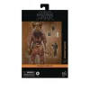 Hasbro Star Wars The Black Series Momaw Nadon Deluxe 6-Inch Action Figure